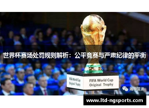 世界杯赛场处罚规则解析：公平竞赛与严肃纪律的平衡