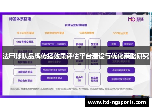法甲球队品牌传播效果评估平台建设与优化策略研究