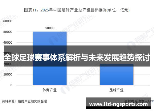 全球足球赛事体系解析与未来发展趋势探讨