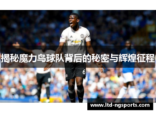 揭秘魔力鸟球队背后的秘密与辉煌征程